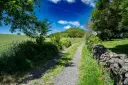DSC00186