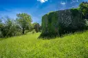 DSC00192