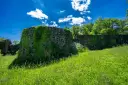 DSC00198