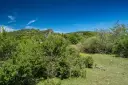 DSC00648