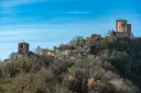 DSC01775