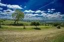 DSC00181
