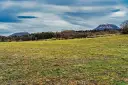 DSC08784_DxO