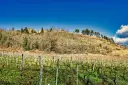 DSC08597_DxO